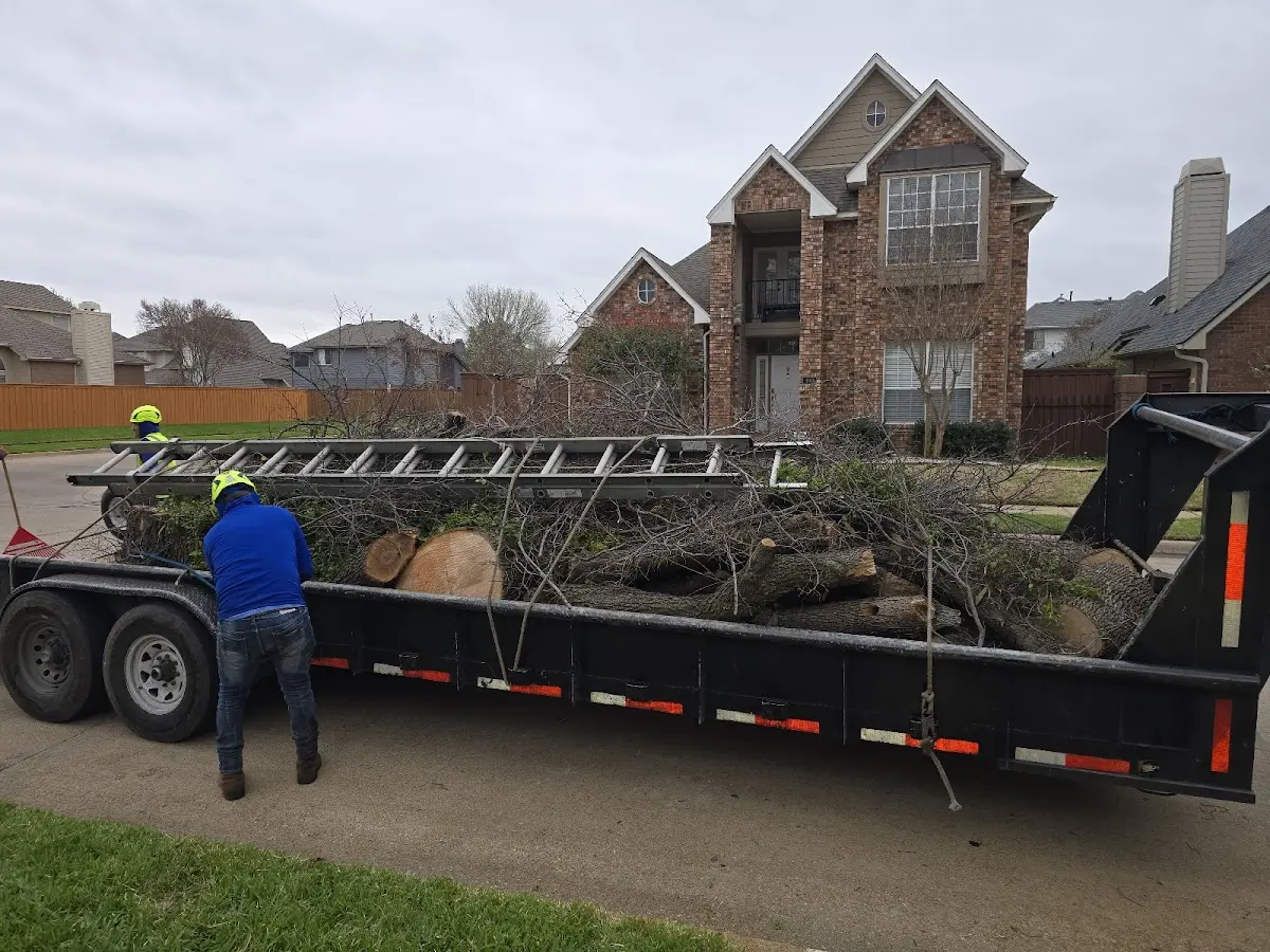 Expert Tree Removal with proper safety equipment in Calvert City